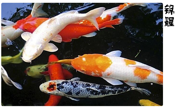 20250722091806888-image