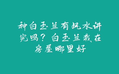 种白玉兰有风水讲究吗？白玉兰栽在房屋哪里好-易友笔记