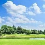 用户12416407的头像-易善缘