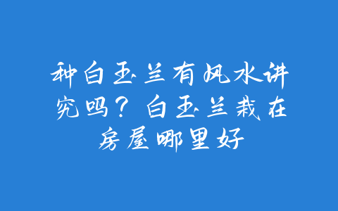 种白玉兰有风水讲究吗？白玉兰栽在房屋哪里好-易善缘
